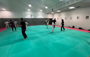 COURS PARENTS/ENFANTS : KARATÉ  ET JUDO  SAMEDI 18 JANVIER 25