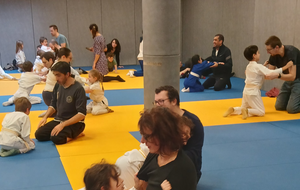 JUDO : COURS PARENTS/ ENFANTS