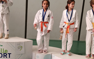 JUDO : TOURNOI SUCY-EN-BRIE
