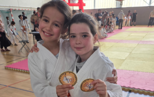 JUDO : PETITS TIGRES 14 JUIN 2026