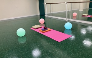 Salle de danse/Gym/Yoga, salle omnisport, 10 rue Mongenot, 94160 Saint Mandé