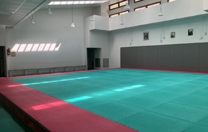 Grand Dojo, salle omnisport, 10 rue Mongenot, 94160 Saint Mandé