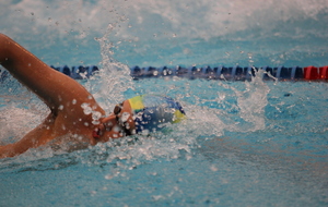 REPRISE DES ACTIVITÉS AQUATIQUES