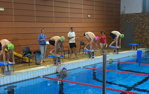 NATATION : FÉDÉRAUX VITTEL