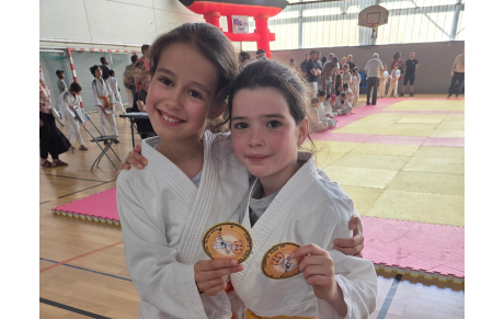 JUDO : PETITS TIGRES 14 JUIN 2026